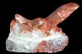 Natural, Red Quartz Crystal Cluster - Morocco #84367-2